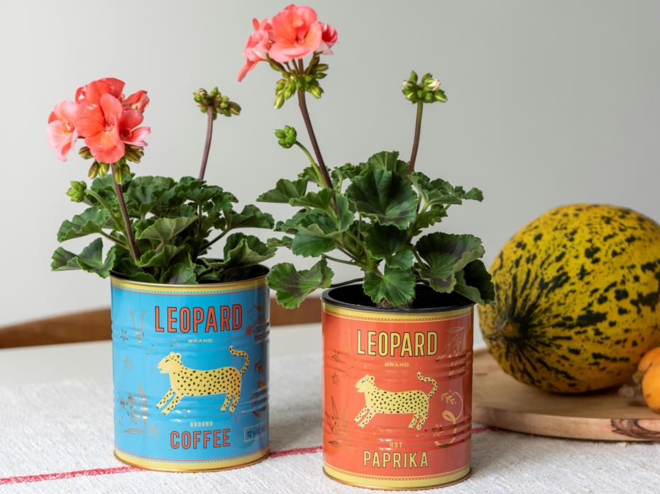 Leopard tins - used as decorative plant pot covers